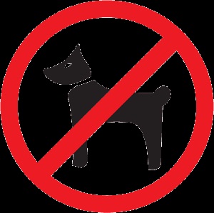 Reguli de câine de mers pe jos! Important!