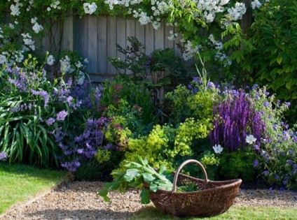 Transformăm o reședință de vară într-o grădină engleză