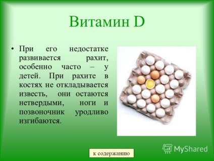 Bemutatás a vitaminok témakörében, miért van szükségük bemutatásra egy 6. osztályos diák nevében