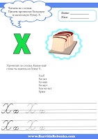Scrisoarea de dezvoltare a copilului x