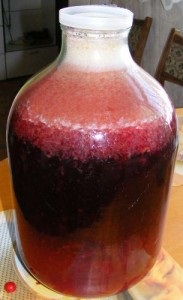 Reteta pentru moonshine de la cherry - samogon de brand