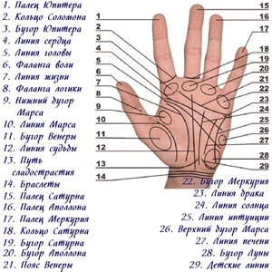 Semnul de naștere pe palma din dreapta și semnificația ei și cum tratează palmistry