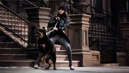 Îngrijirea Rottweiler pentru urechile lui Rottweiler, inspectarea urechilor lui Rottweiler, curățarea urechilor de murdărie, tratamentul urechii