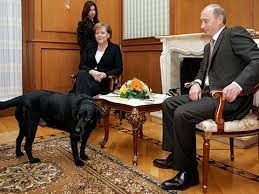 Rubla, câinele, unde este acum