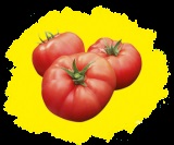 Semințe de roșii pentru a cumpăra, semințe de tomate cele mai bune soiuri în catalog prin poștă, magazin online - semințe