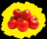 Semințe de roșii pentru a cumpăra, semințe de tomate cele mai bune soiuri în catalog prin poștă, magazin online - semințe