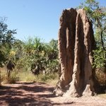 Northern Territory, Australia - bloguri, știri, forumuri, fotografii, video, hărți, atracții