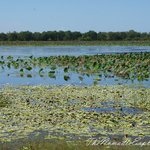 Northern Territory, Australia - bloguri, știri, forumuri, fotografii, video, hărți, atracții