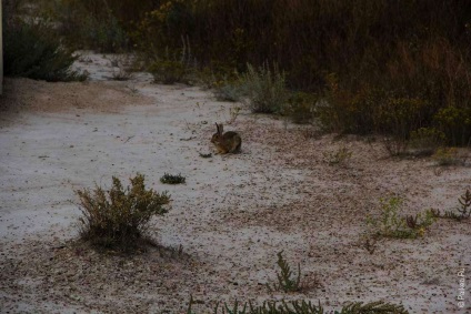 Teritoriul de Nord în Parcul Național Badlands din Statele Unite