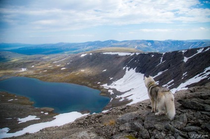 Povestiri ale lui Husky