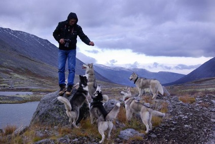 Povestiri ale lui Husky