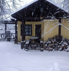 Inchiriaza casa, mesteacan