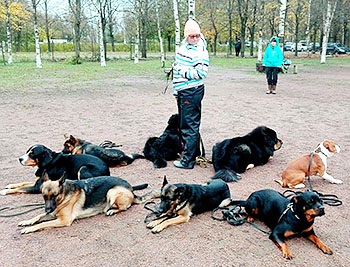 Câine pentru protecția copilului