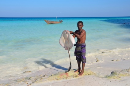 Socotra este o insulă care sa desprins de o altă planetă - un sit de turism sentavia