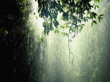 Interpretarea visurilor de ploi abundente, ploaie, furtuni