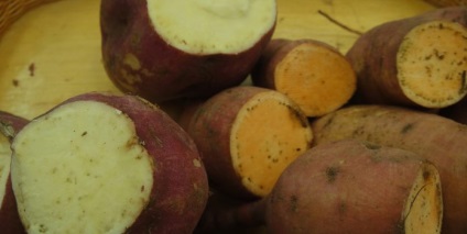 Soiuri de cartofi dulci, descriere cu fotografie de cartofi dulci