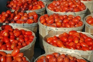 Sfaturi pentru fertilizarea rosii - tomate de cultivare într-o seră