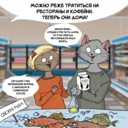 Viața comună și farmecul ei într-un comic comic despre pisici