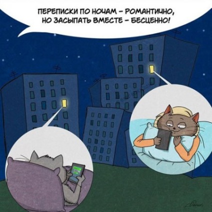 Viața comună și farmecul ei într-un comic comic despre pisici