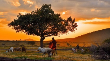 Lucrarea misionară modernă în Africa