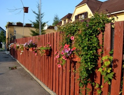 Moduri de a decora gard grădină, rezultatul de garduri