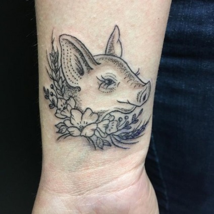 Sertés tetoválás jelentése, fotó tetoválás, vázlatok