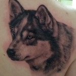 Semnificația Tatu Husky, fotografiile și cele mai bune schițe