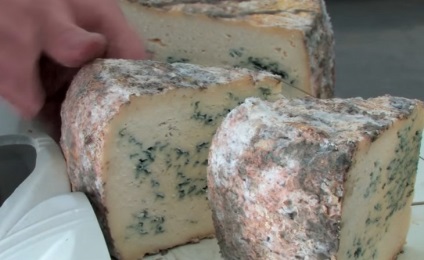 Tehnologia de producție a brânzei Roquefort
