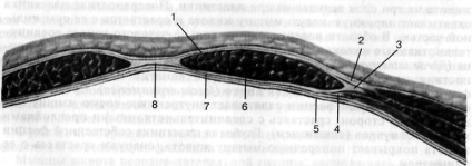 Topográfia a has - stardopedia