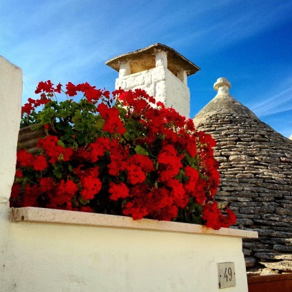 Travelz - bea un galop pe Apulia bari și alberobello timp de două zile