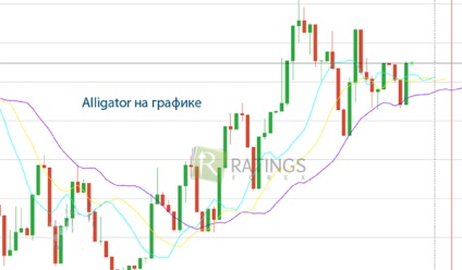 Trend și plat pe Forex și alte piețe financiare