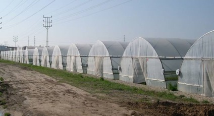 Tunnel farmhouse üvegház teden-500, tartalom platform