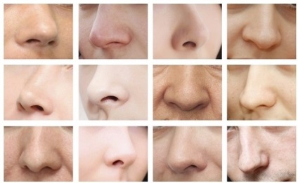 Oamenii de stiinta cred ca forma nasului afecteaza clima