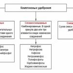 Îngrășământ pentru flori din coaja de banane pentru înflorire și recenzii abundente, din coajă de ouă și proteine ​​și