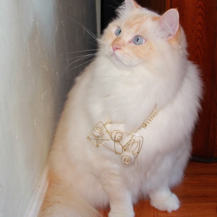Ornamente din blana de pisica