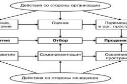 Управління кар'єрою персоналу варіанти розробки плану кар'єрного росту, правильна постановка