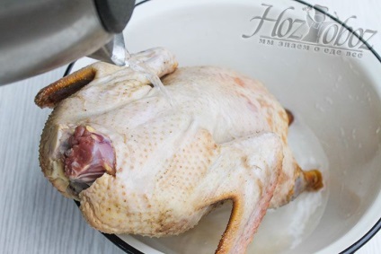 Duck la Beijing, acasă, rețetă clasică, hozoboz - știm despre toate produsele alimentare