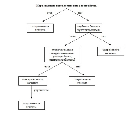 Вибір методу лікування дископатії або що робити якщо у собаки відмовили задні лапи центр