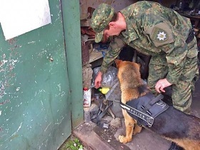 Nikolajevben a kennelközpontban dolgozó munkatársak azt állították, hogy a főnököjük gúnyolódott