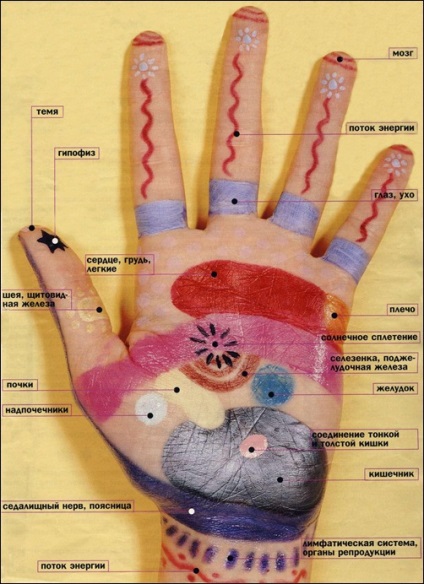 Puncte magice pe palmele tale