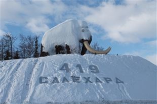 Întrebări despre Arctica