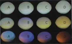 Recrearea unui model optic tridimensional al țesuturilor dentare, dentar-siberian