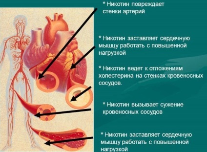 Afectarea fumatului asupra corpului uman pe scurt