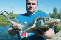 În regiunea Vologda de pescuit
