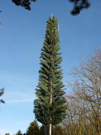 Masute de turnuri de celule, apărător curajos