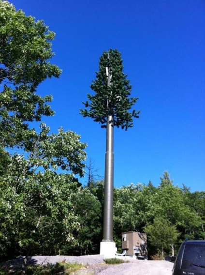 Masute de turnuri de celule, apărător curajos