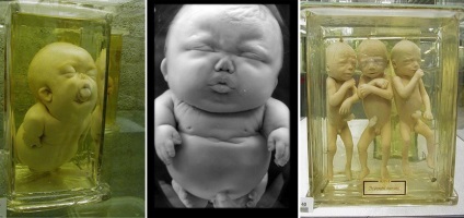 Szellemes babák és ősi anatómiai modellek