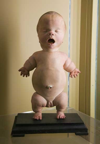 Szellemes babák és ősi anatómiai modellek