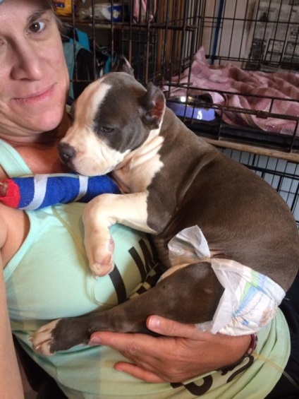 Femeia a petrecut noaptea într-o clinică veterinară pentru a ajuta câinele altcuiva