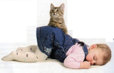 Cunoașterea unei pisici cu un copil nou-născut